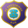 Profilbild von FC Erzgebirge Aue