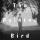 Profilbild von The Painted Bird