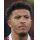 Profilbild von Jadon Sancho