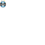 Profilbild von Grêmio Porto Alegre