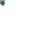 Profilbild von Wormatia Worms