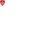 Profilbild von Stade Brest