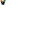 Profilbild von FC Venedig
