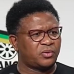 Profilbild von Fikile Mbalula