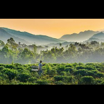 Profilbild von Sylhet (Division)