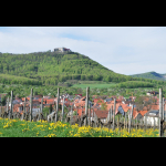 Profilbild von Beuren, Esslingen