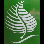 Profilbild von Lindau