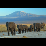 Profilbild von Kajiado County