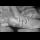 Profilbild von Mpox