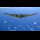 Profilbild von Northrop Grumman (Aktie)