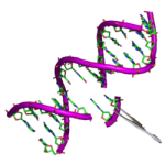 Profilbild von genetically modified crops
