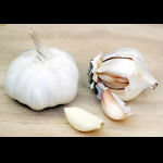 Profilbild von Knoblauchzwiebel