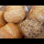 Profilbild von Brötchen