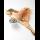 Profilbild von dried seafood