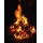 Profilbild von Lagerfeuer