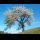 Profilbild von Plant