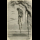 Profilbild von Hanging