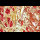 Profilbild von cardiovascular disease