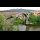 Profilbild von Tech (Fluss)