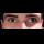 Profilbild von Schielen