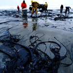 Profilbild von Oil spill