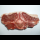 Profilbild von Schaffleisch