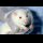 Profilbild von Tierversuch