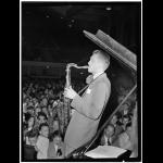 Profilbild von Konzert (Veranstaltung)