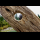 Profilbild von Loch