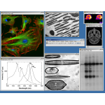 Profilbild von open-source software