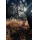 Profilbild von Ode