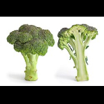 Profilbild von broccoli