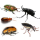 Profilbild von Beetle